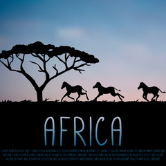 Africa illustration, zebras and acacia silhouette on blue sky background