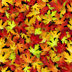 Vector seamless pattern with red and yellow autumn leaves, natural backdrop