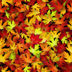 Naklejka na ściany i meble Vector background design with colorful autumn leaves. Natural backdrop, seamless pattern