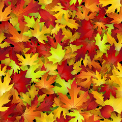 Naklejka na ściany i meble Vector seamless pattern with red and yellow autumn leaves, natural backdrop
