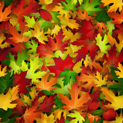 Naklejka na ściany i meble Vector seamless pattern with colorful autumn leaves, natural backdrop