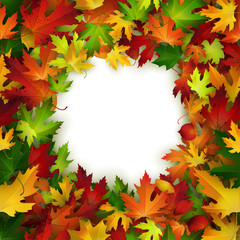 Naklejka na ściany i meble Vector frame design with colorful autumn leaves, natural backdrop design, card template