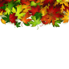 Vector background with colorful autumn leaves, card template, natural backdrop