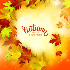 Vector background with colorful autumn leaves, card template, natural backdrop