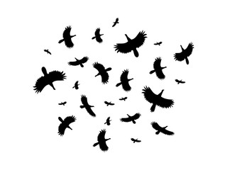 Obraz premium A flock of birds flying in a circle on a white background. Vector illustration.