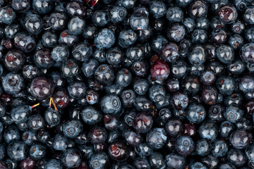 Background fresh blueberries