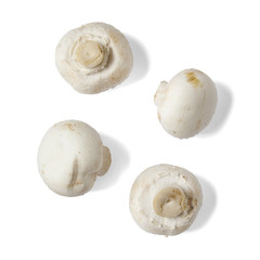 Individual cup mushrooms isolated on a white background