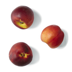 Individual nectarines isolated on a white background