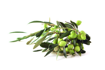 Olives on branch