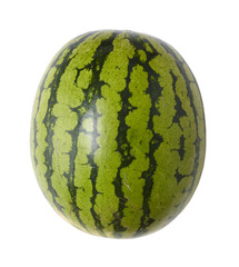 A single green water melon isolated on a white background