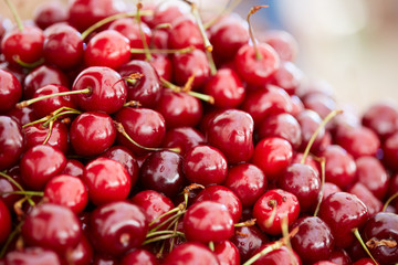 delicious, beautiful large cherry