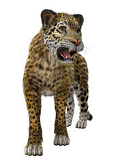 3D Rendering Big Cat Jaguar