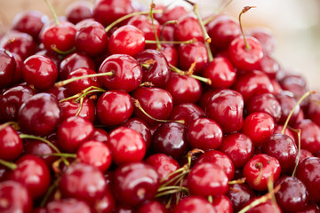 delicious, beautiful large cherry