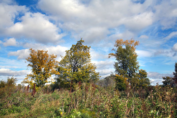 Obraz premium Indian summer in the meadows