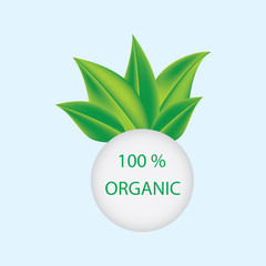 green leaves inscription 100% organic symbol of environmental labeling of organic products logo design art vector illustration of a light background