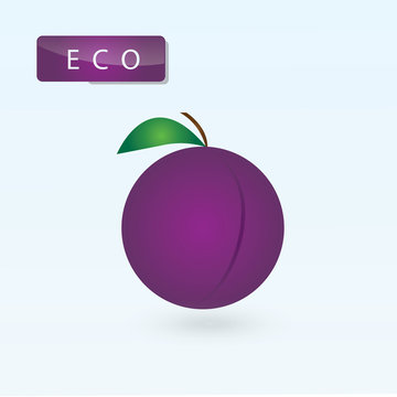 plum purple logo design ECO label isolated illustration abstract art vector light background