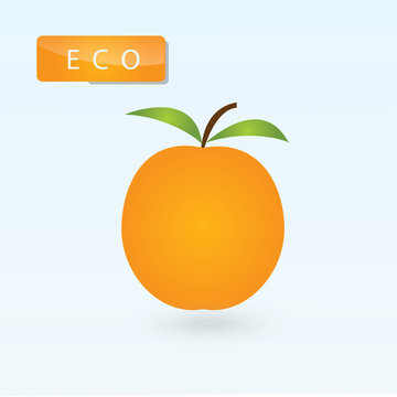design logo orange lettering ECO isolated illustration abstract  art vector light background