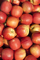 Fototapeta na wymiar Mele rosse / Red apples