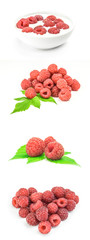 collage of raspberry on white background cutout