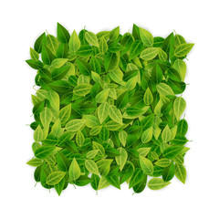 Fototapeta na wymiar Green leaves banner background, vector illustration, eco, organi