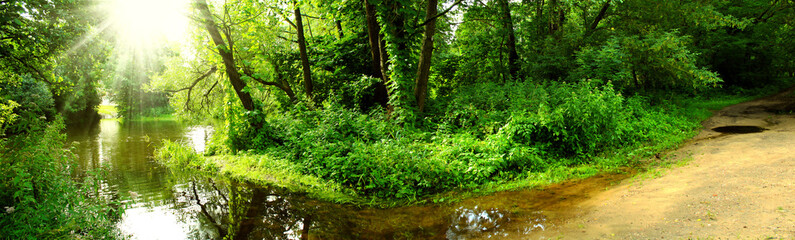 Naklejka na ściany i meble Panoramic image of the river in the summer