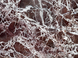 Rosso Antico Marble Detail