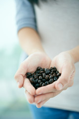 Cropped image of person with handfuls of roasted coffee beans