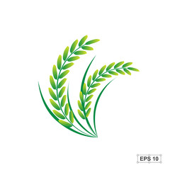 Rice,Green Rice,Vector illustration