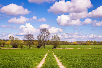 Feldweg