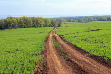 dirt road in a field