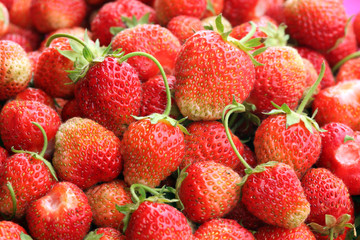crop of strawberries