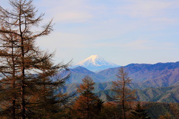 富士山