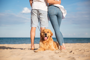 Back view of dog lying on beach near young couple - Powered by Adobe