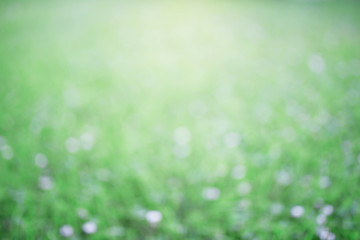 трава в размытии