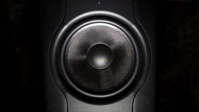 professional studio subwoofer speaker isolated