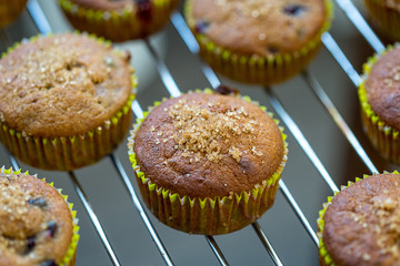 Healthy Paleo Vegan Gluten-free Banana Muffins with Berries and Honey on a Baking Tray, Delicious, Close-up View