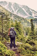 Tourist with a backpack in the woods looking at mountain panoram