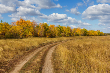 autumn dry prairie landscape
