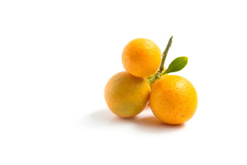 Orange Kumquat placed on whte background