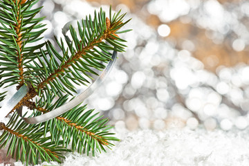 Fototapeta na wymiar Christmas twig on the snow