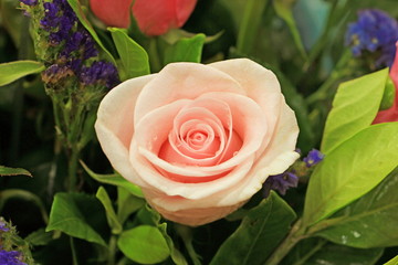 Single rose on center bouquet, Pink rose center on leaves background