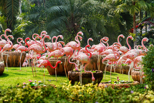 Flock of pink flamingos. Garden scultures in the Nong Nooch garden. Decorative statues of large exotic birds. Pattaya, Thailand.