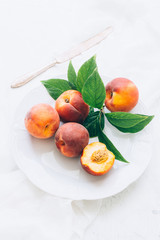 juicy peaches in a plate on a white background