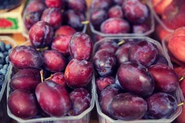 Obraz premium close up of satsuma plums at street market