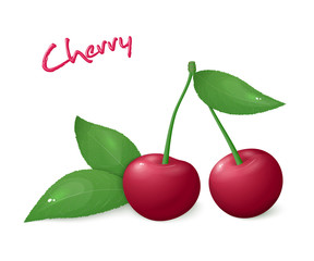 vector illustration of realistic isolated ripe cherry with leaves