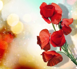 Poppy.
