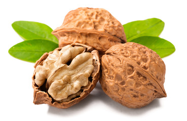 cracking walnuts on white