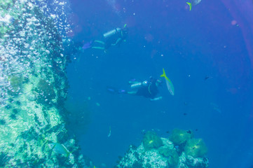 Fototapeta na wymiar Scuba Diving trainning on a Coral Reef