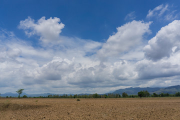 farmland with blue sky and clouds in spring