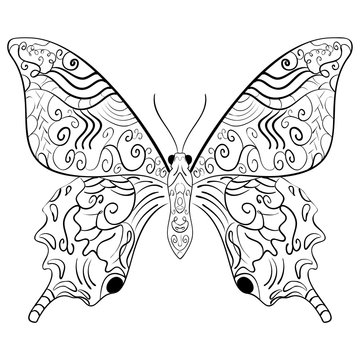 Butterfly vector illustration.Zentangle style.